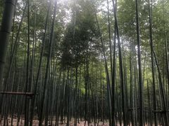 -陶祖圣境风景区