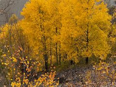 -北极村旅游风景区