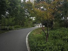 -昆山城市生态森林公园