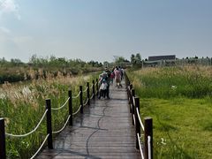 -盐城丹顶鹤湿地生态旅游区