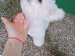 -黄浦路(地铁站)