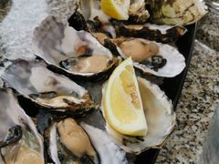 -12 Rocks Beach Bar Cafe