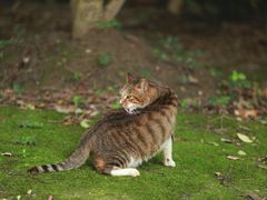 -苏州河梦清园环保主题公园