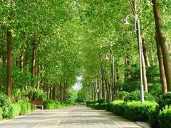 -东升八家郊野公园