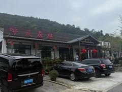 -呼吸森林·生态农庄农家乐私房菜