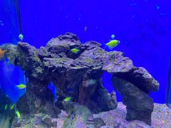-海合安武汉极地海洋公园