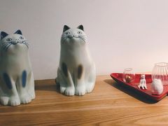 -猫里有甜