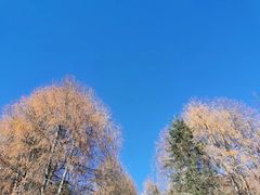 -硗碛藏寨·神木垒景区