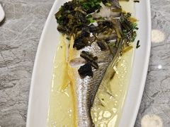 -老绍兴养和饭店(向阳不夜城店)