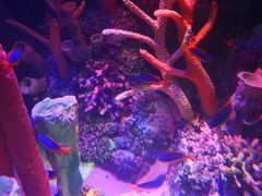 -沈阳海洋探索中心