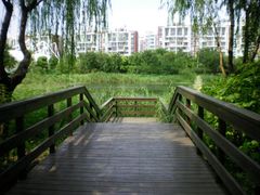 -新江湾城公园