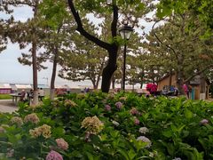 -悦海公园