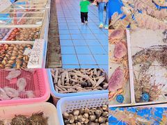 -南沙十九涌渔人码头-南门