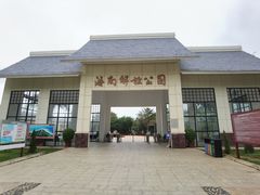 -临高角