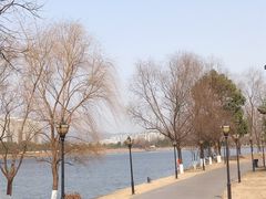 -洋湖国家湿地公园