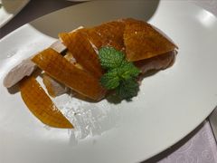 传统烤鸭-鸭王烤鸭店(三里河店)