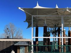 -酷鱼垂钓CLUB(朝阳区博大路店 )