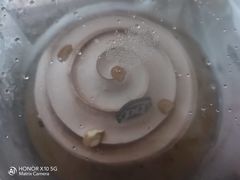-DQ·蛋糕·冰淇淋(动壹店)