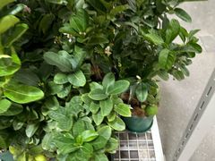 -山姆会员商店(西溪店)