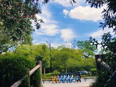 -新江湾城公园