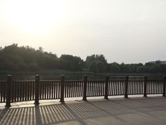 -大兴滨河森林公园