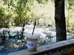 -九寨沟-树正沟