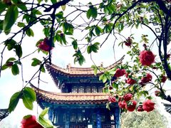 -昆明市金殿名胜区