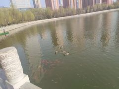 -迎泽公园