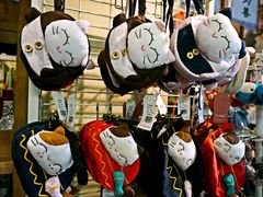 -猫咪博物馆(顶澳仔猫街店)