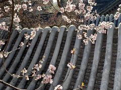 -颐和园