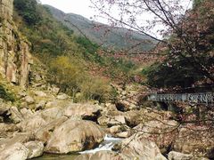 -东天目山风景区