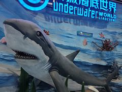 -聊城海底世界