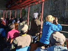 -黄椅山火山森林公园