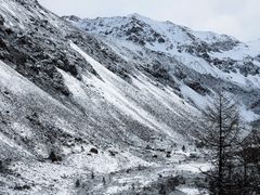 -亚拉雪山风景区