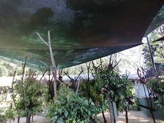 -可伦宾野生动物保护区