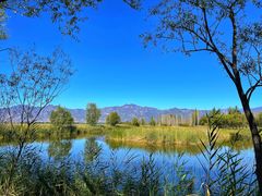 -野鸭湖国家湿地公园