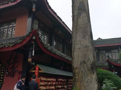 -峨眉山报国寺