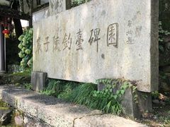 -严子陵钓台(富春江小三峡)