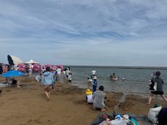 -碧海金沙