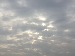 -绝味鸭脖(碧凤坊二店)