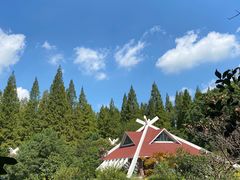 -东平国家森林公园