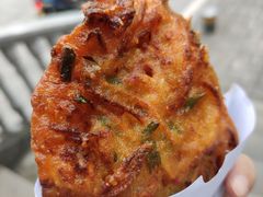 -半月镰胡姐脆皮萝卜饺子