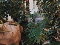 -滕头生态酒店(奉化店)