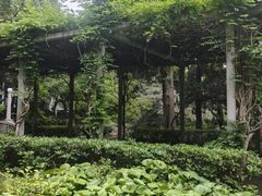 -叶家花园