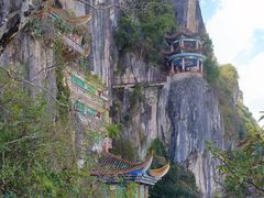 -西华公园