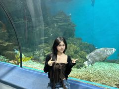-福州罗源湾海洋世界旅游区