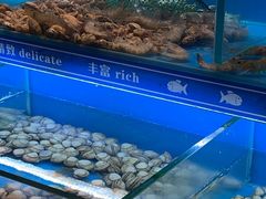 -太湖饭店玉兰厅(自助餐厅)