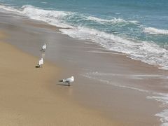 -海云台海滩