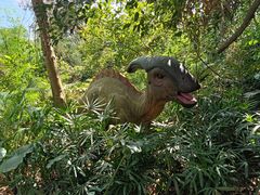 -海南热带野生动植物园