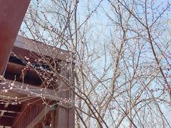 -河北省园博园